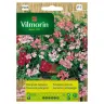 Pelargonia Zwisająca mieszanka nasiona 5szt. - VILMORIN