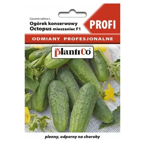 Ogórek konserwowy Octopus F1 nasiona 1,5g - PlantiCo