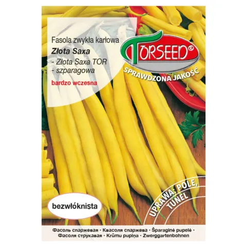 Fasola Złota Saxa nasiona 30g - TORSEED