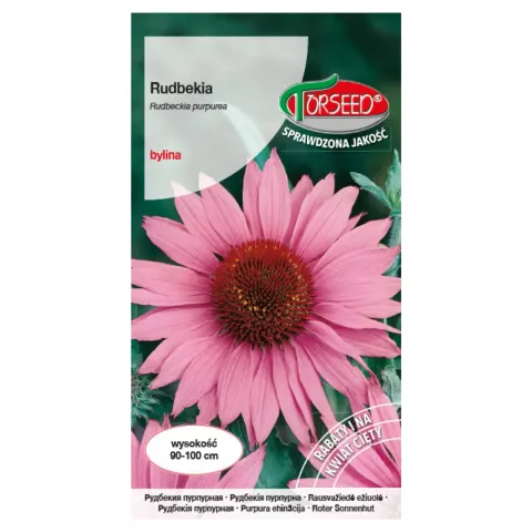 Rudbekia purpurowo-różowa nasiona 0,5g - TORSEED