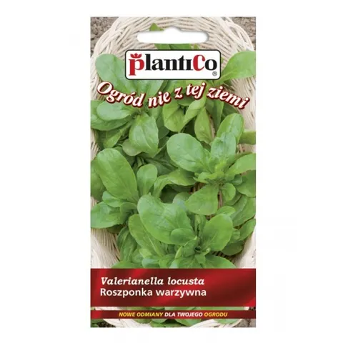 Roszponka warzywna nasiona 1g - PlantiCo