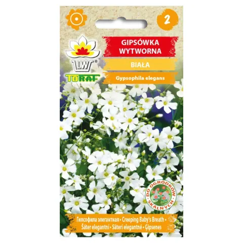 Gipsówka wytworna biała nasiona 1g - TORAF