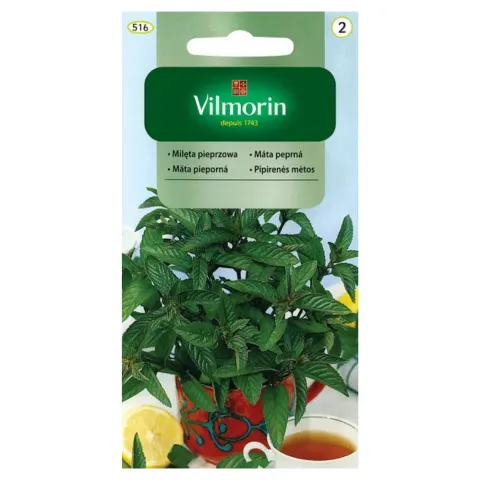 Mięta Pieprzowa Classic nasiona 0,1g - VILMORIN