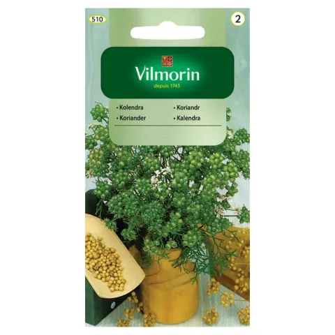 Kolendra nasiona 3g - VILMORIN