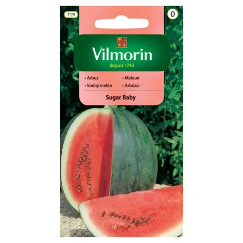 Arbuz Sugar Baby nasiona 1g - VILMORIN