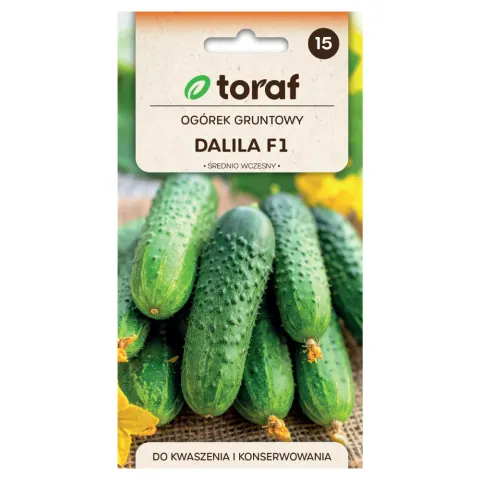 Ogórek gruntowy Dalila F1 nasiona 5g - TORAF