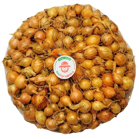 Cebula dymka STUTTGARTER RIESEN do sadzenia 500g NOWA IV
