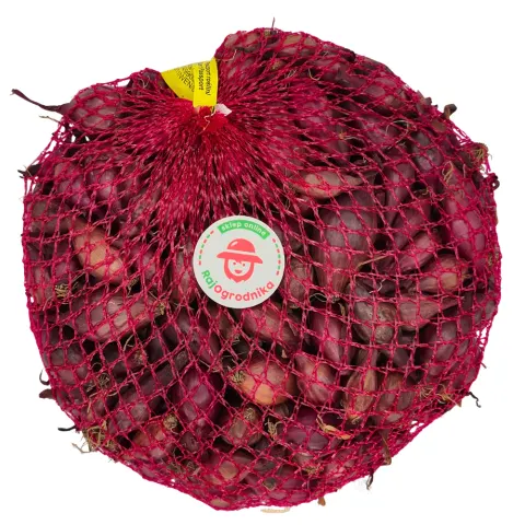 Cebula dymka Wenta do sadzenia 250g