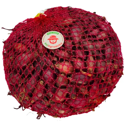 Cebula dymka Wenta do sadzenia 500g