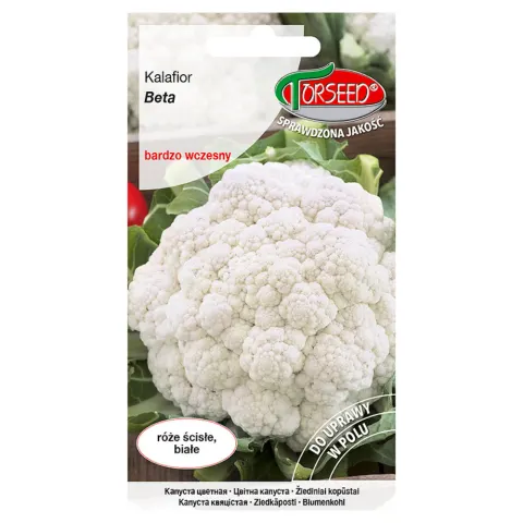 Kalafior Beta nasiona 1g - TORSEED