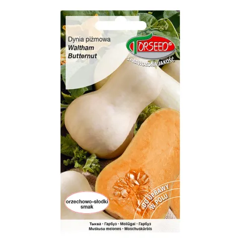 Dynia piżmowa Waltham Butternut nasiona 3g - TORSEED