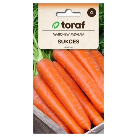 Marchew Sukces nasiona 5g - TORAF