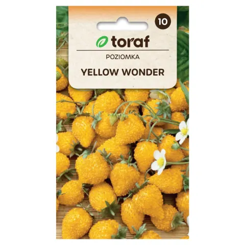 Poziomka Yellow Wonder o żółtych owocach nasiona 0,1g - TORAF