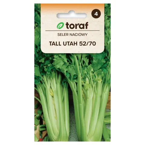 Seler naciowy Tall Utah 52/70 nasiona 0,5g - TORAF