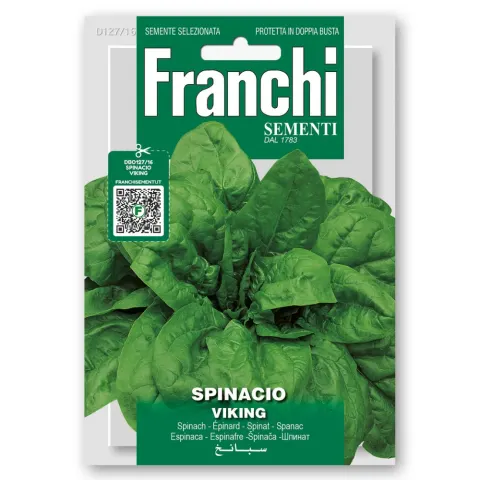 Szpinak Viking duże liście nasiona 15g - FRANCHI