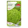 Sałata liściowa do uprawy w polu Lollo Bionda nasiona 0,5g - TORSEED