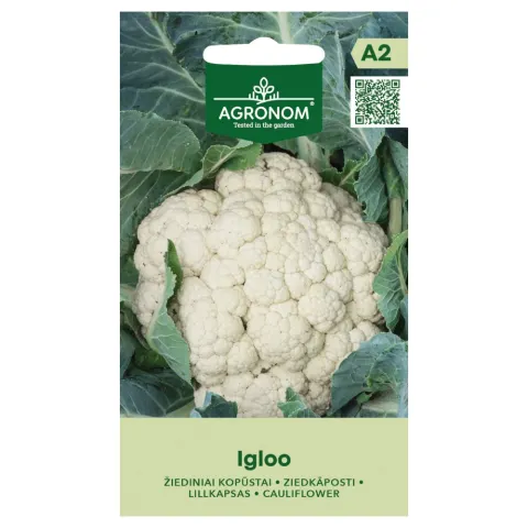 Kalafior Igloo odmiana tworzy zwarte i białe róże nasiona 0,5 g - AGRONOM