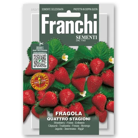 Truskawka Quattro Stagioni nasiona 0,5 g - FRANCHI