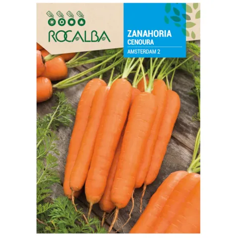 Marchew Amsterdam 2 odmiana o smacznych korzeniach nasiona 6 g - Rocalba