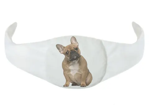 Poduszka opaskowa termiczna Dog