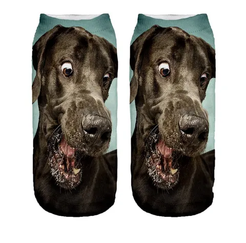 Śmieszne skarpetki damskie Stopki Brown dog