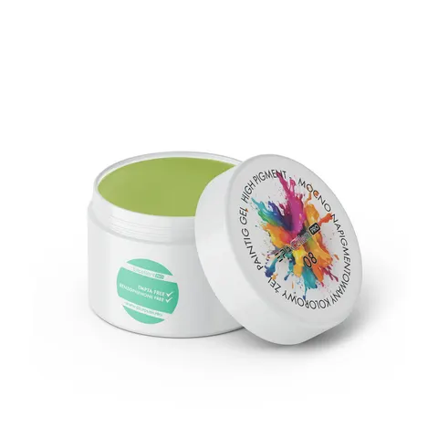 EXCELLENT PRO - Painting Gel High Pigment 5g 008