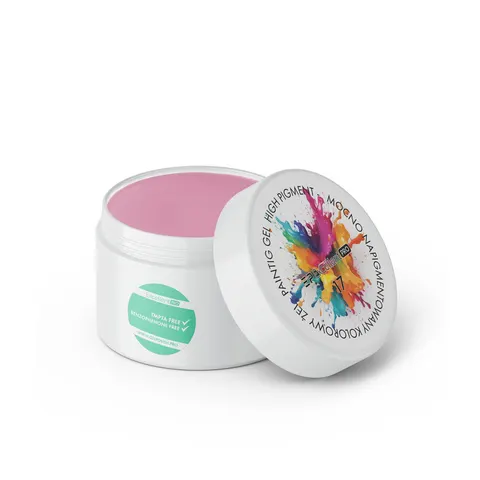 EXCELLENT PRO - Painting Gel High Pigment 5g 017