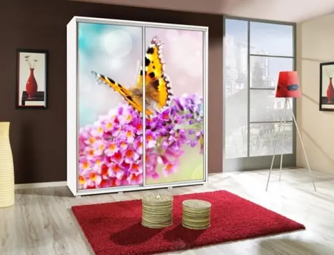 Szafa z grafiką 155 Motyl 3