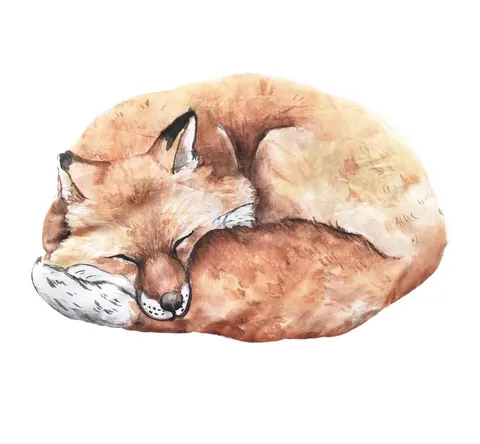 Płaska poduszeczka Fox / BabySteps