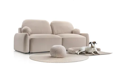 Sofa z pokrowcem dla pieska lub kota