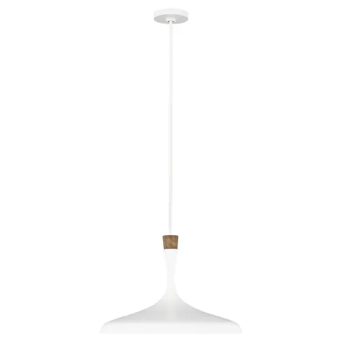 Lampa wisząca Darwin FE-DARWIN-P Elstead Lighting 1x60W E27 Stal Biały