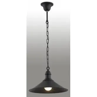 Lampa Wisząca Erba 631 Argon 1xE27 15W Stal Lakierowana, Czarny