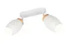 Lampa sufitowa reflektorowa BIDAR R81572031 RL 2x10W E14 Metal / Biały