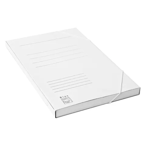 TECZKA Z GUMKĄ BIGO A4 BOX 400g a1/10