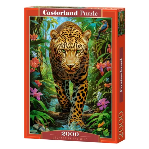 Puzzle CASTORLAND 2000 - Leopard in the Wild