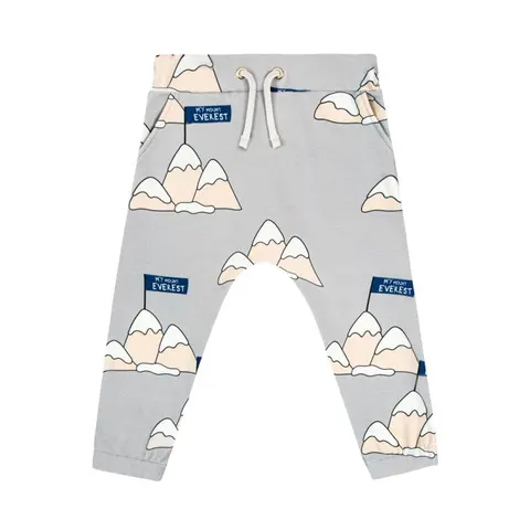 Spodnie EVEREST SZARY - EVEREST GREY / PANTS