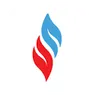 Logo piecykigazowe.com.pl