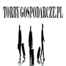 Logo torbygospodarcze.pl