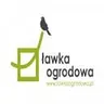 Logo Primario Grande